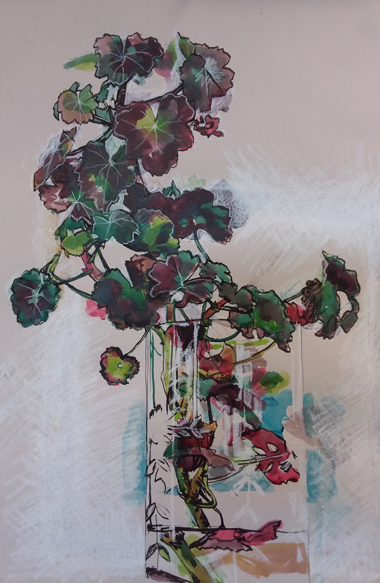 Rieteka Geursen 50 Shades of Geranium study 2 ink and chinagraph pencil on rag paper