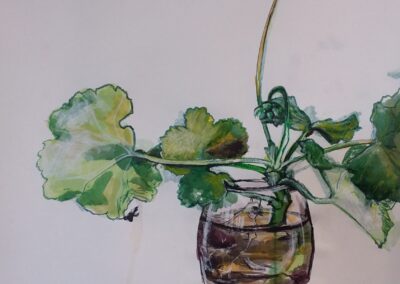 50 shades of Geranium Study 7