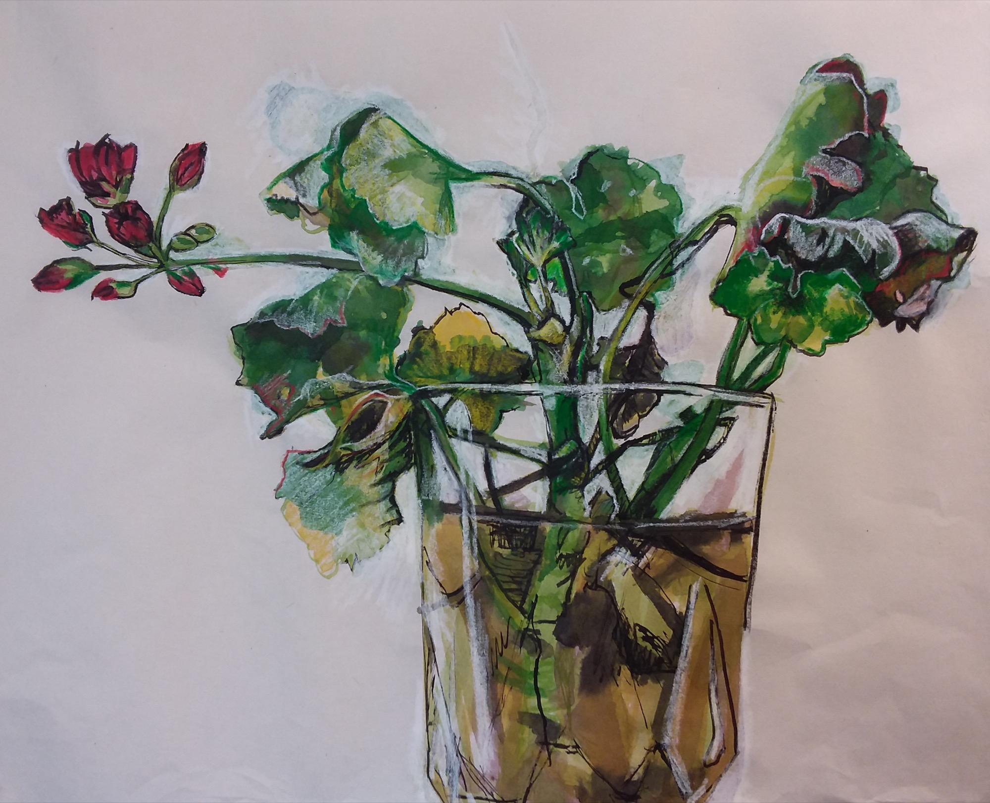 Rieteka Geursen 50 Shades of Geranium study 8 ink and chinagraph pencil on Chinese Scroll paper